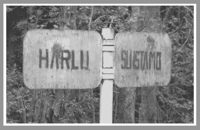 Suistamon ja Harlun vanha suomalainen rajatolppa